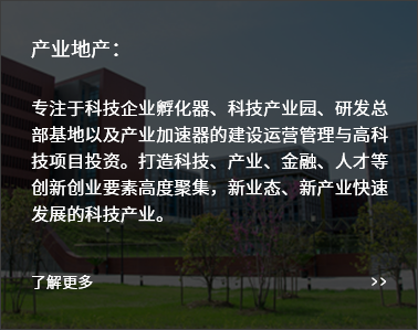 产业地产